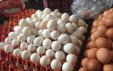 Trứng gà ta giá rẻ bán đầy chợ có nguồn gốc từ đâu