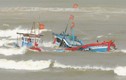 Hai tàu cá Quảng Ngãi chìm khi chạy về bờ tránh bão