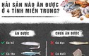 Infographic: Hải sản nào ăn được ở 4 tỉnh miền Trung?