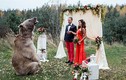 Cặp đôi ở Nga được chú gấu nặng 140 kg chủ trì hôn lễ