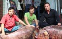 Cặp cá “khủng” về HN, gần 4 triệu đồng/kg vẫn đắt hàng