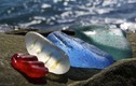 Kỳ diệu bãi biển chứa hàng tỷ viên "đá quý" ở Nga