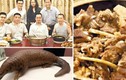 Thiếu gia Hong Kong nhận “gạch đá” vì khoe ảnh ăn tê tê 