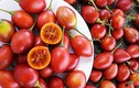 Sốt xình xịch cà chua thân gỗ giá 500.000 đồng một cây