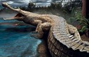 Cá sấu cổ đại có thể “làm thịt” cả khủng long