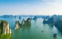 Nhà sử học Dương Trung Quốc: “Việt Nam không phải đảo Đầu lâu“