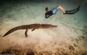 Mỹ: Cậu bé 14 tuổi bơi cùng bầy cá sấu hoang trong rừng