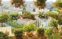 Mẹ Việt biến ban công 15m2 thành vườn hoa như cổ tích