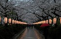 7 sự thật “gây choáng” về lịch sử nước Nhật