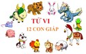 Video: Vận hạn 12 con giáp tháng 3/2019 tiền bạc hao tổn ra sao?