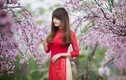 Thiếu nữ Việt nuột nà trong tà áo dài (13)