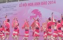 Múa Nhật đặc sắc trong Lễ hội hoa anh đào 2014