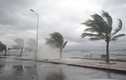 Việt Nam hứng nhiều siêu bão bất thường, sức tàn phá lớn