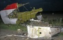 Toan tính chính trị đằng sau thảm họa MH17?