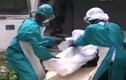 23 lao động VN nằm trong vùng dịch Ebola