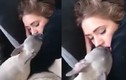 Tinh nghịch chú chó hôn trộm cô chủ lúc ngủ