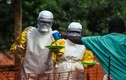 Chẩn đoán nhanh Ebola bằng... thiết bị dùng trong quy trình hạt nhân