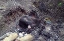 Phát hiện xác chết cháy đen trong bãi rác