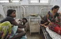 Thảm kịch ngộ độc thực phẩm chết người tại Ấn Độ