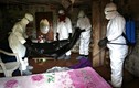 Ebola: Tìm thấy 17 bệnh nhân bỏ trốn, nỗ lực tìm thuốc