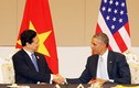 Thủ tướng Nguyễn Tấn Dũng gặp chính thức Tổng thống Obama