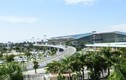 Phát hiện muỗi truyền virus Zika ở sân bay Đà Nẵng