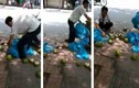 Thực hư "tắm" hóa chất cho dừa xiêm trên phố Hà Nội