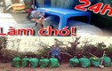 Thử thách dọn rác và cú tát với giới Youtuber “bẩn” Việt Nam