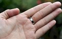Phụ nữ có nốt ruồi ở ngón tay: Những điều cần nhớ