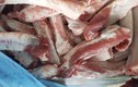 Thịt lợn rẻ giật mình 50 nghìn/kg, chất đầy kho bán cả tấn