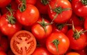 Cách ăn cà chua sai hoàn toàn mà nhiều người vẫn thường làm theo
