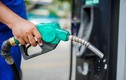 Giá xăng dầu hôm nay ngày 7/8: Đầu tuần chưa giảm?