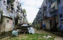 Cận cảnh chung cư xuống cấp nhất Đà Nẵng, ngập ngụa rác và chuột