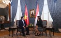 Thủ tướng Chính phủ Phạm Minh Chính hội kiến Tổng thống Hungary