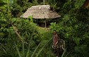 Bộ lạc nằm sâu trong rừng Amazon