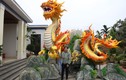 Linh vật rồng tại Quảng Trị lộ diện, nặng đến 500kg