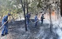 Phú Quốc: Cháy lớn tại khu vực đất nông nghiệp thuộc Bãi Vòng