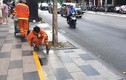 TP HCM thu phí vỉa hè: Hết cảnh vừa bán vừa lo