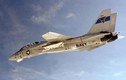 Tiêm kích F-14 Tomcat của Mỹ vì sao bị "xóa sổ" khắp thế giới