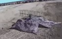 Xem UAV Lacet tung đòn tấn công bất ngờ trên chiến trường Ukraine