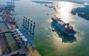 Cụm cảng Cái Mép - Thị Vải: Mỗi tuần có 21 tuyến tàu mẹ đi Mỹ