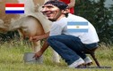 Ảnh chế thất bại của Hà Lan trước Argentina