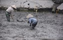 Những hình ảnh ngày đầu tiên khai quật bãi cọc tại Đầm Thượng