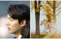 Hậu xuất ngũ, Lee Min Ho hóa “bạch mã hoàng tử” trên phim trường