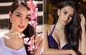 Nhan sắc ngày càng thăng hạng của Hoa hậu Tiểu Vy