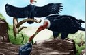 10 loài chim tiền sử ác hiểm nhất từng được biết đến