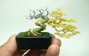 Những chậu cây bonsai kỳ quái nhất hành tinh 