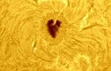 Thích thú cảnh trái tim xuất hiện trên bề mặt Mặt Trời