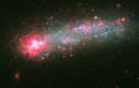 Tận mục khoảnh khắc sao sinh ra từ thiên hà Kiso 5639