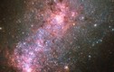 Hubble bất ngờ tung ảnh mới nhất về thiên hà NGC 3125